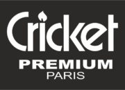 Зажигалки Cricket Paris оптом